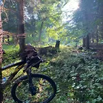 Hébergement de vacances Pod Lasem - Sosnowy