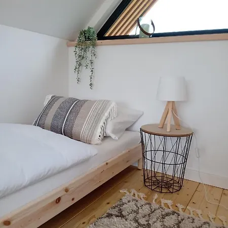 Pod Lasem - Sosnowy * Stronie Śląskie