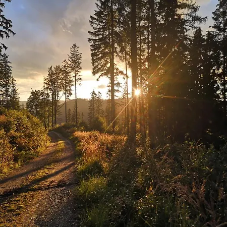 Pod Lasem - Sosnowy *