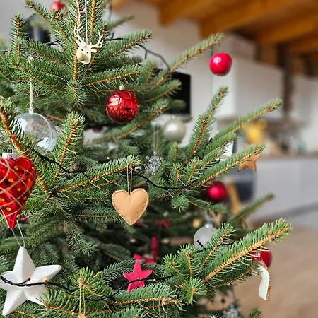 Pod Lasem - Sosnowy * Stronie Śląskie