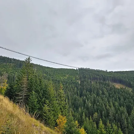 Prázdninový dům Pod Lasem - Sosnowy *