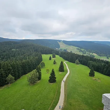 Pod Lasem - Sosnowy Prázdninový dům Stronie Śląskie