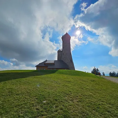 Pod Lasem - Sosnowy *