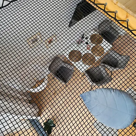 Pod Lasem - Sosnowy Dom wakacyjny Stronie Śląskie