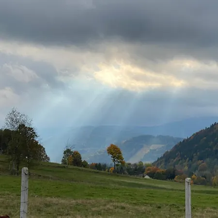 Prázdninový dům Pod Lasem - Sosnowy Stronie Śląskie
