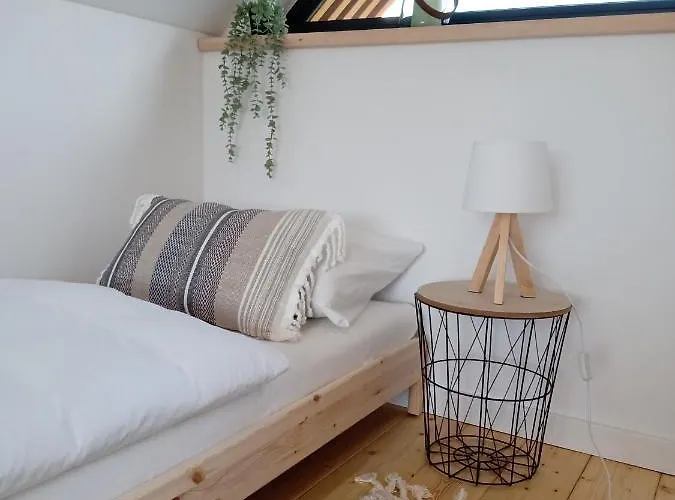 Pod Lasem - Sosnowy * Stronie Śląskie