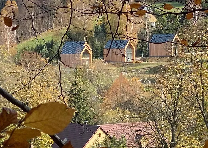 Pod Lasem - Sosnowy * Stronie Śląskie