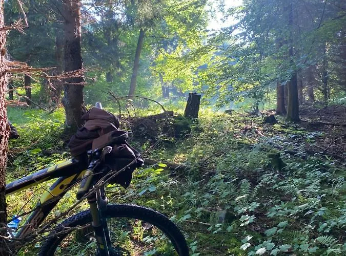 Casa vacanze Pod Lasem - Sosnowy