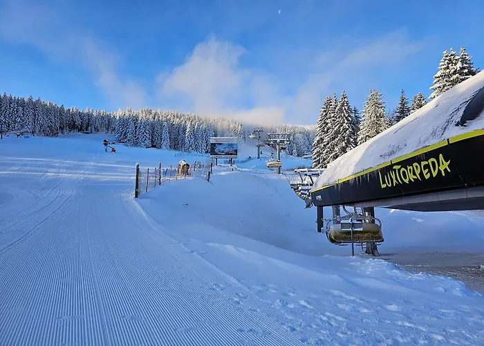 Pod Lasem - Sosnowy Casa vacanze *