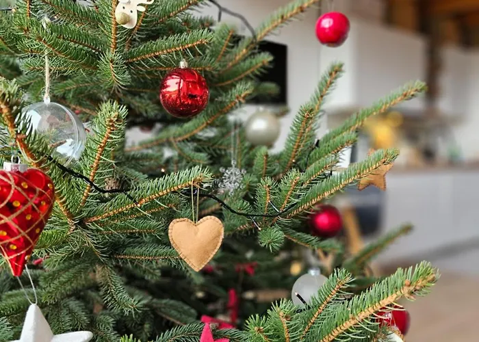 Pod Lasem - Sosnowy * Stronie Śląskie