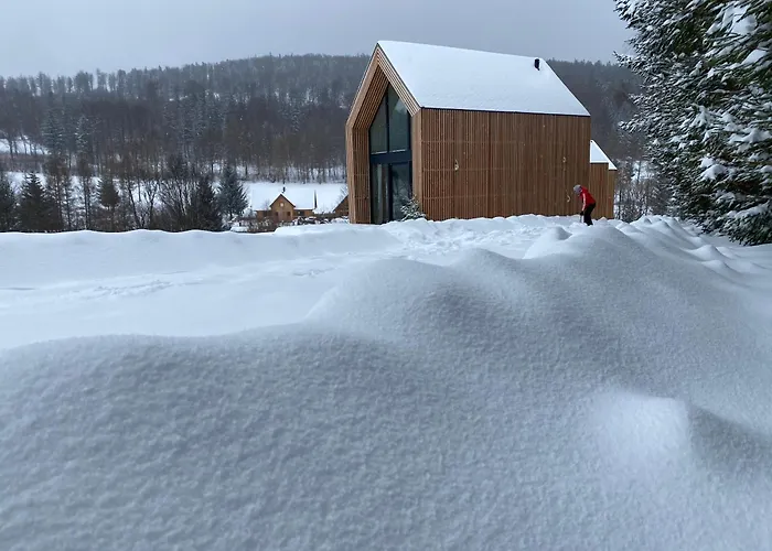 Pod Lasem - Sosnowy *