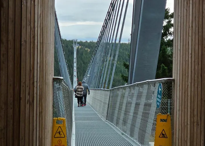 Pod Lasem - Sosnowy * Stronie Śląskie