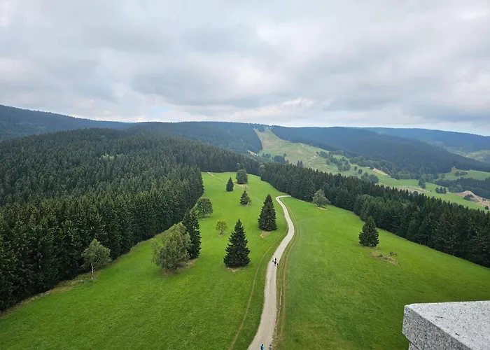 Pod Lasem - Sosnowy Casa vacanze Stronie Śląskie