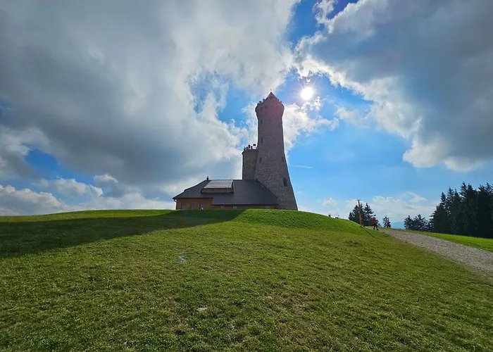 Pod Lasem - Sosnowy *