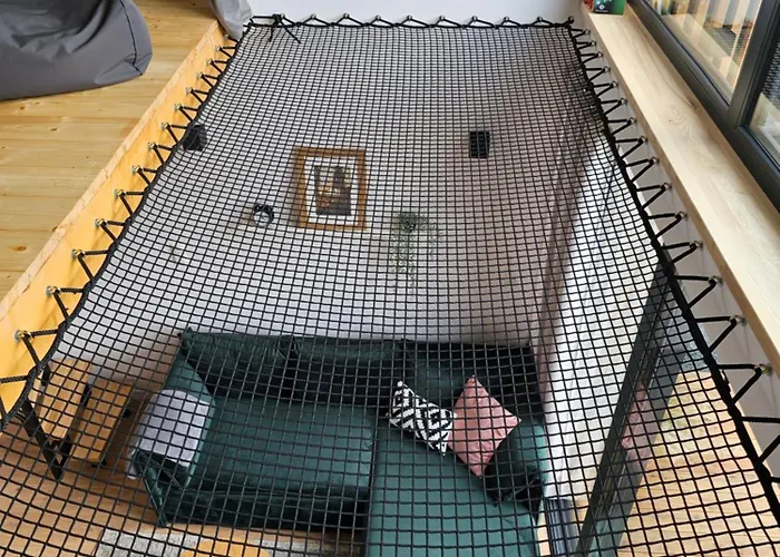 Pod Lasem - Sosnowy Casa vacanze Stronie Śląskie